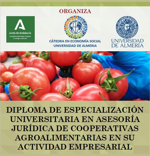 Catedra en economia social UAL