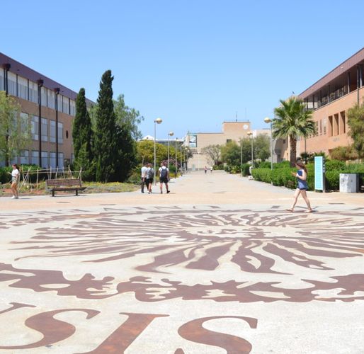 Catedra en economia social UAL